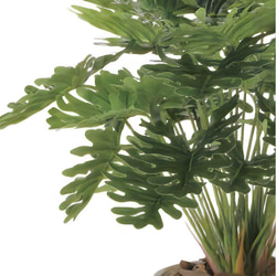 光触媒　人工観葉植物　ウォールグリーン　フェイクグリーン　フレッシュクッカバラm 6枚目の画像