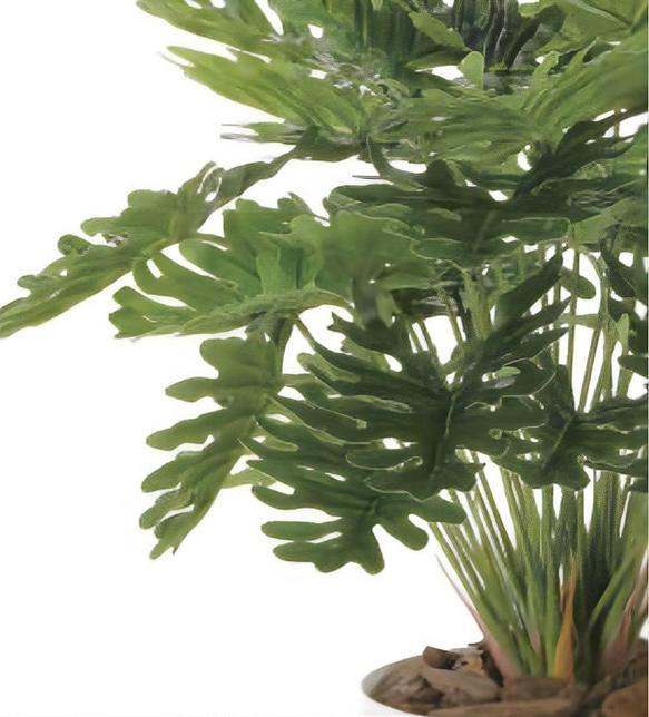 光触媒　人工観葉植物　ウォールグリーン　フェイクグリーン　フレッシュクッカバラm 6枚目の画像