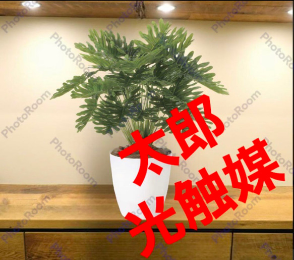 光触媒　人工観葉植物　ウォールグリーン　フェイクグリーン　フレッシュクッカバラm 1枚目の画像