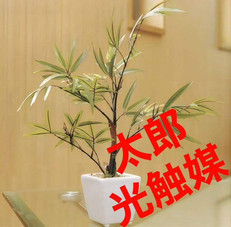 光触媒　人工観葉植物　ウォールグリーン　フェイクグリーン　グランドファレノ 光触媒 人工観葉植物 ウォールグリーン フェイクグリーン グランド
