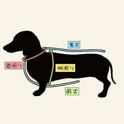 犬服　斜め切替タンクトップ(ボタニカル柄) 7枚目の画像
