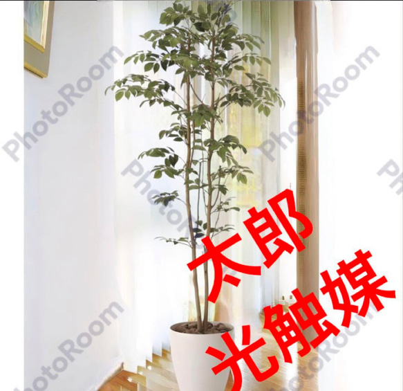 光触媒 人工観葉植物 ウォールグリーン フェイクグリーン
