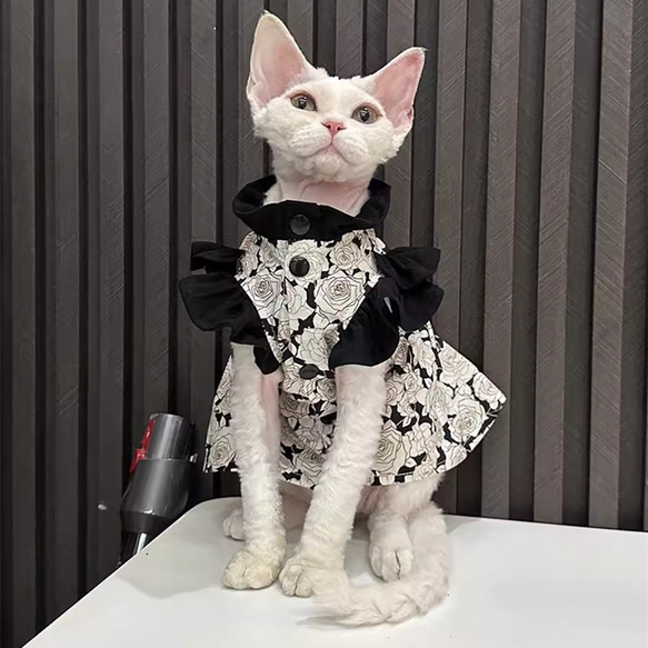 オーダーメイド可能〉猫服 犬服 ペット服 ネコ 多い花模様