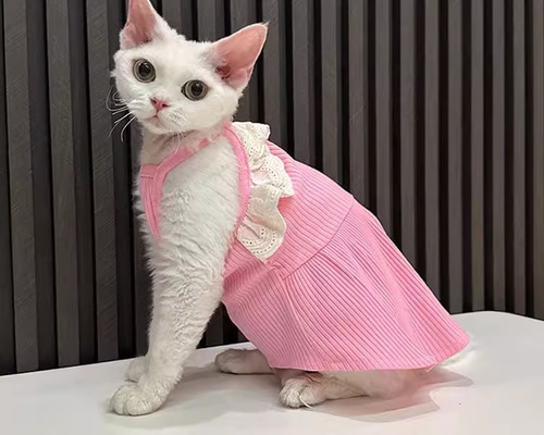 青空さん様犬服 猫服 ハンドメイド ワンピース わんちゃん
