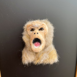 恒河猴猴臉胸針 第1張的照片