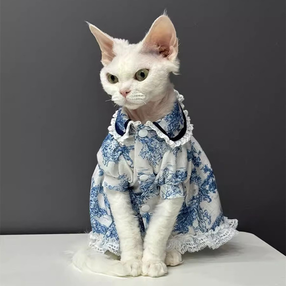 オーダーメイド可能〉猫服 犬服 ペット服 ネコ 青い花模様真珠 オーダーメイド可能〉猫服 犬服 ペット服 ネコ 青い花模様真珠