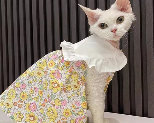 青空さん様犬服 猫服 ハンドメイド ワンピース わんちゃん