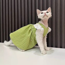 オーダーメイド可能〉猫服 犬服 ペット服 ネコ 緑のプリンセスレース袖