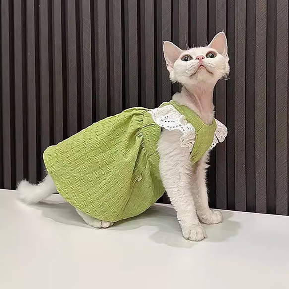 オーダーメイド可能〉猫服 犬服 ペット服 ネコ 緑のプリンセス