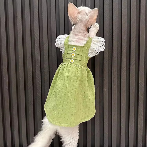 オーダーメイド可能〉猫服 犬服 ペット服 ネコ 緑のプリンセス
