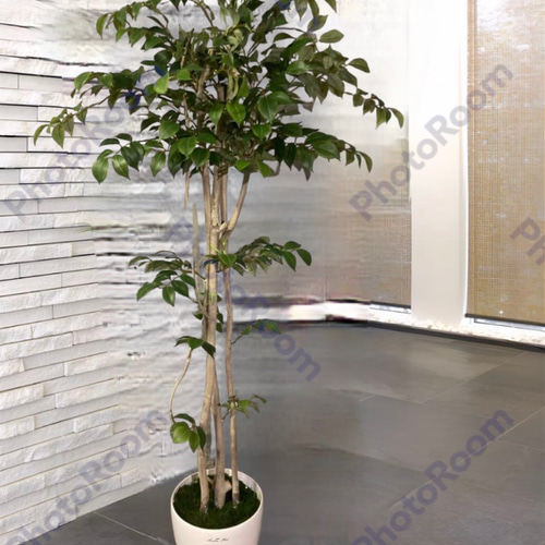 光触媒 人工観葉植物 ウォールグリーン フェイクグリーン