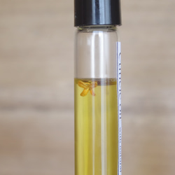 オーガニックホホバオイルのネイルオイル◆ジャスミン精油使用 3枚目の画像