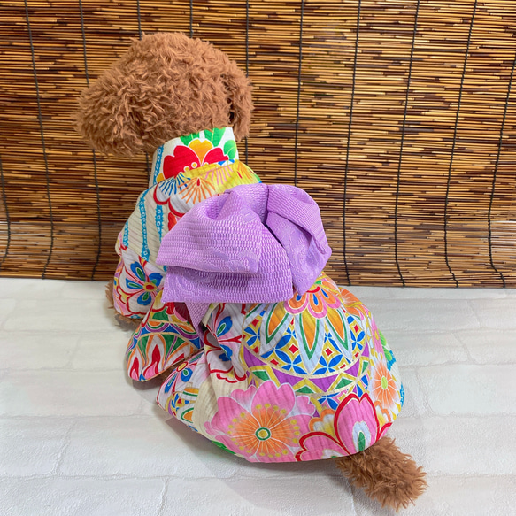 犬の浴衣✨犬用本格浴衣 クリーム地にカラフル 犬服 11枚目の画像