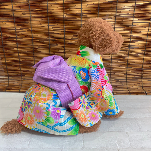 犬の浴衣✨犬用本格浴衣 クリーム地にカラフル 犬服 ペット服