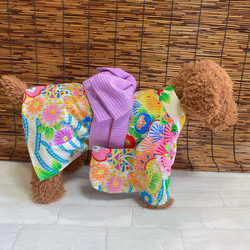 犬の浴衣✨犬用本格浴衣 クリーム地にカラフル 犬服 14枚目の画像