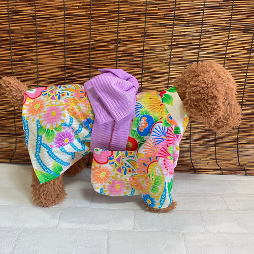 犬の浴衣✨犬用本格浴衣 クリーム地にカラフル 犬服 ペット服