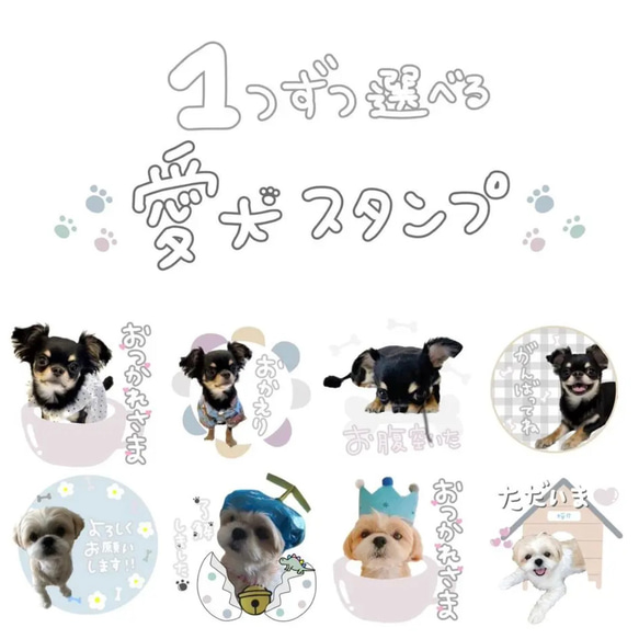 1点限り♡未使用　新作ペンギンが可愛いスタンプ&ダイ　スタンピンアップ￼ コウペンちゃん 2WAYピックリルスタンド（3）秋桜 – コウペン