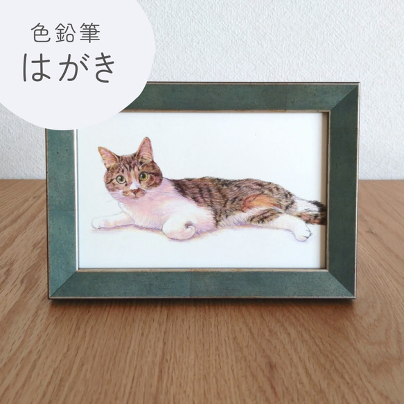 【はがき/色鉛筆細密画】ペットのリアルな似顔絵【どんな動物でも!】 1枚目の画像