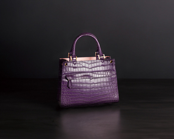 【最高級】Costoroma クロコ革ツートンハンドバッグ センター取り HCP社 最高品質 