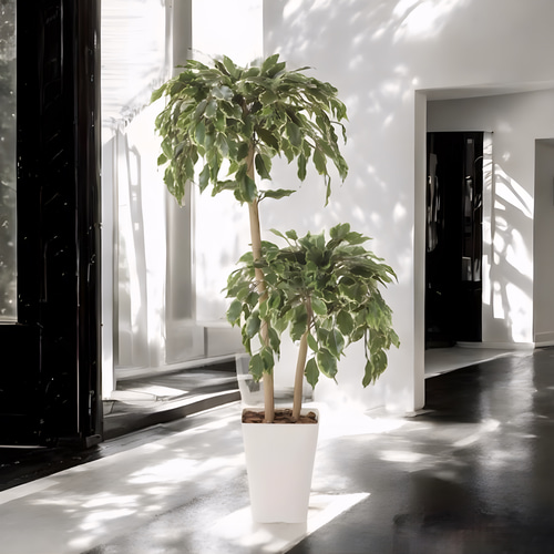 光触媒 人工観葉植物 ウォールグリーン ゴールデンフィカス