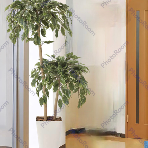 光触媒　人工観葉植物　ウォールグリーン　ゴールデンフィカスダブル1.2 光触媒 人工観葉植物 ウォールグリーン ゴールデンフィカス