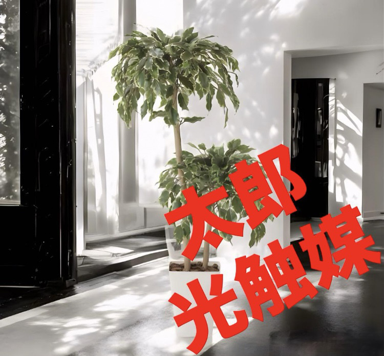 光触媒　人工観葉植物　ウォールグリーン　ゴールデンフィカスダブル1.2