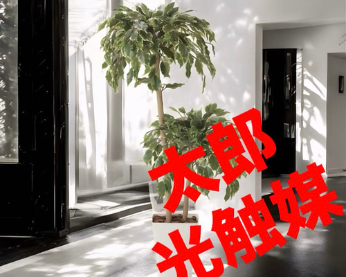 光触媒 人工観葉植物 ウォールグリーン ゴールデンフィカスダブル1.2