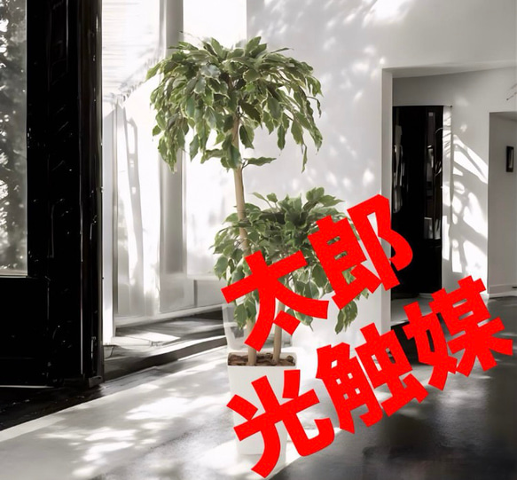 光触媒　人工観葉植物　ウォールグリーン　ゴールデンフィカスダブル1.2 光触媒 人工観葉植物 ウォールグリーン ゴールデンフィカス