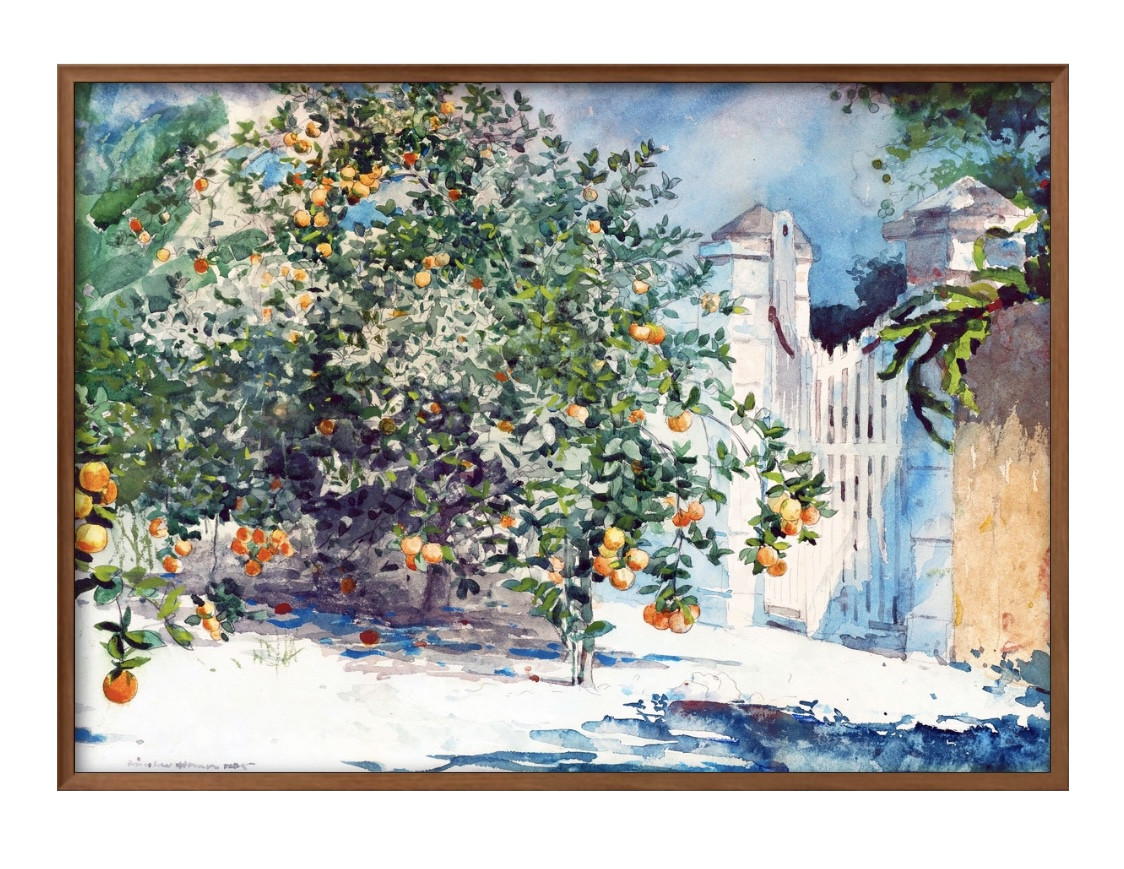 滝 アート 直筆サイン入り フォト 絵画 ポスター JAMES THOMSON 滝 アート 直筆サイン入り フォト 絵画 ポスター JAMES THOMSON