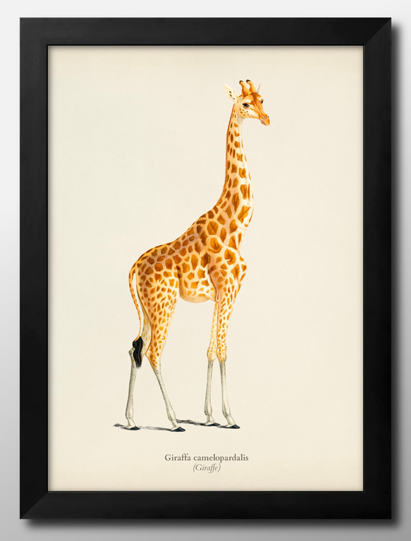 きりんオリジナル絵画 キリンきりん／kira｜アート絵画・販売通販WASABI(ワサビ)