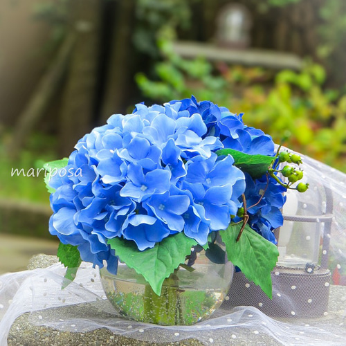 紫陽花・2色の鮮やかなブルー紫陽花とグリーンベリーのグラス