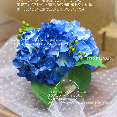 紫陽花・2色の鮮やかなブルー紫陽花とグリーンベリーのグラスアレンジ