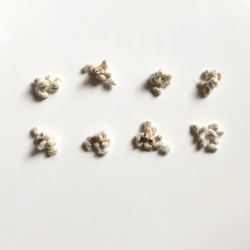 【限定】コットンフラワー (白・薄茶) 種子 80粒 ＆ ラグラス 種子 ＊ 綿花 8枚目の画像