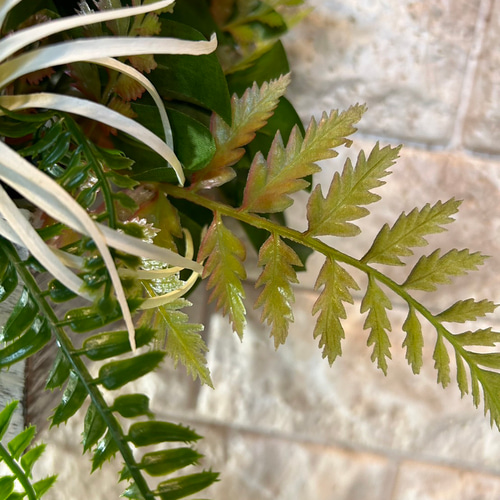 光触媒 人工観葉植物 造花 モンステラ90 (高さ90cm) - 店舗用品