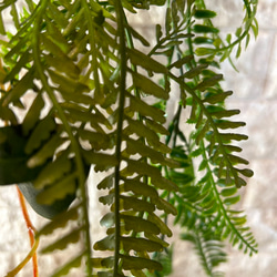 光触媒　人工観葉植物　ウォールグリーン　フェイクグリーン　壁掛けモンステラ 10枚目の画像