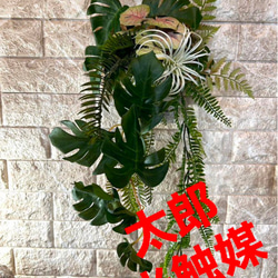 光触媒　人工観葉植物　ウォールグリーン　フェイクグリーン　壁掛けモンステラ 1枚目の画像