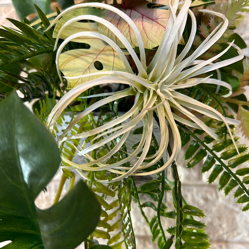 光触媒 人工観葉植物 ウォールグリーン フェイクグリーン 壁掛け 光触媒 人工観葉植物 ウォールグリーン フェイクグリーン 壁掛け