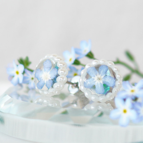 お気に入り 勿忘草（わすれなぐさ）の耳飾り(ピアス/イヤリング) ピアス ピアス