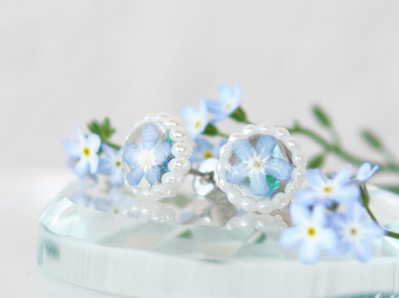 ✨わすれなぐさ✨①イヤリング価格となっております - メルカリ