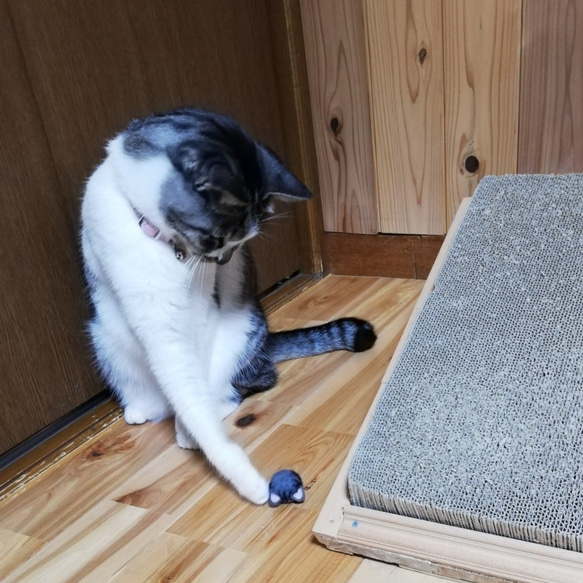 羊毛フェルトの猫のおもちゃ　猫ボール　白猫、黒ハチワレ白猫 7枚目の画像