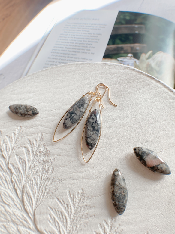 ウミユリ(ペトリファイドクリノイド)のピアス ピアス（フック