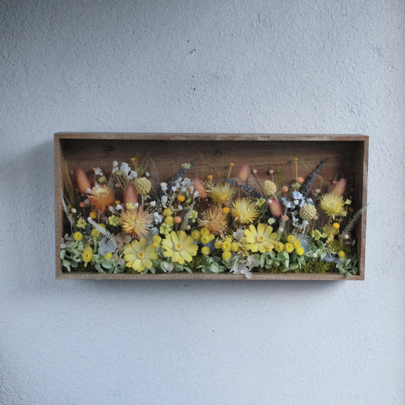 花畑のボックスフラワー 3枚目の画像
