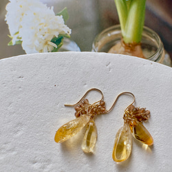 クレイジーレースアゲートのピアス ピアス（フック・チェーン