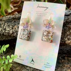 耳環 蝴蝶蘭 樹脂 琉璃 蘭花 銀飾 禮物 禮盒 耳夾 手工 第1張的照片
