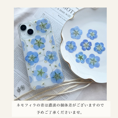 シアー】ネモフィラ×かすみ草 押し花スマホケース 【ハイブリッド