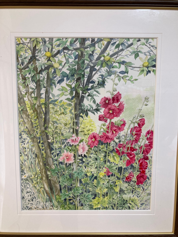 水彩画 原画 「タチアオイと花梨」F6 3枚目の画像