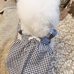可愛い猫犬　ワンチャン　ニャーチャン　ペット服 3枚目の画像