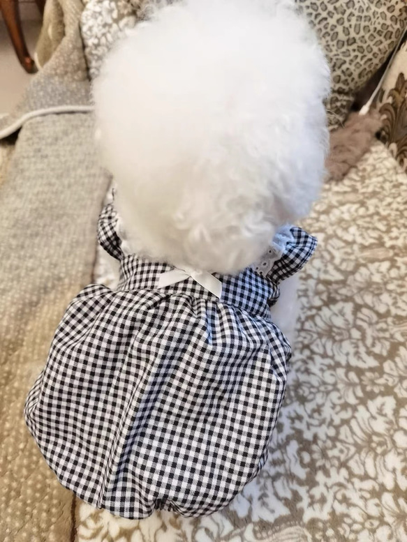 可愛い猫犬　ワンチャン　ニャーチャン　ペット服 3枚目の画像