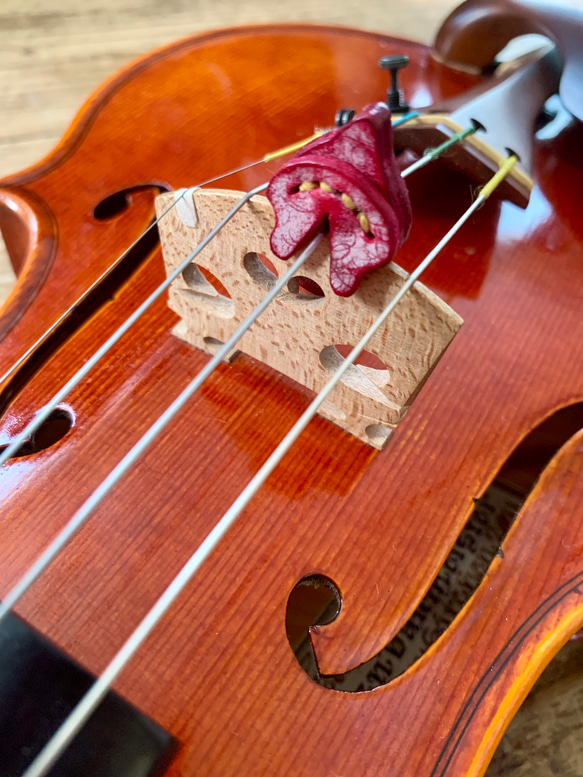 手縫いで創ったヴァイオリン用 レザーミュート　二枚重ねタイプ『AM - V - Topolino 296』 4枚目の画像