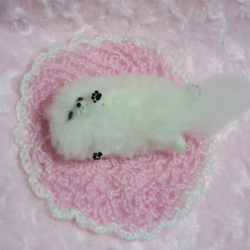 羊毛フェルト  犬   ポメラニアン  白   ホワイト  置物　　　 5枚目の画像